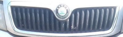 Решітка Skoda Superb, б.в. 1934123646 фото